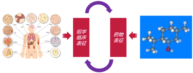 百度发布飞桨螺旋桨PaddleHelix进军生物计算