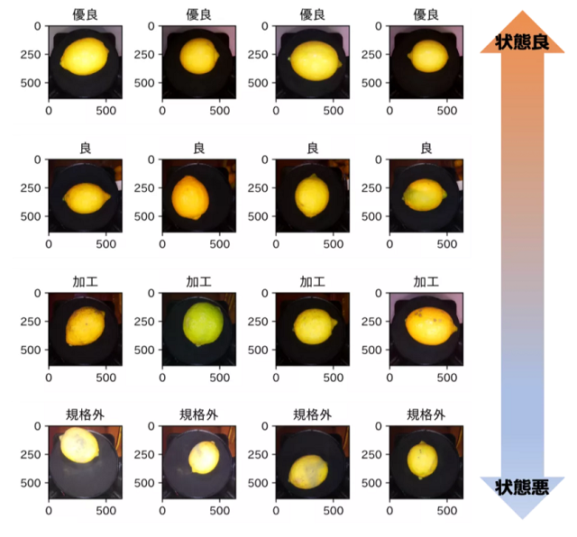 AI大厂工程师带你7日速成图像分类